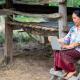 woman with laptop rural scene