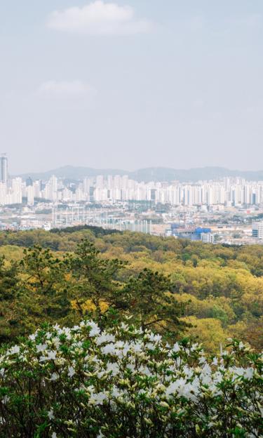 Image features the skyline of Osan, Republic of Korea