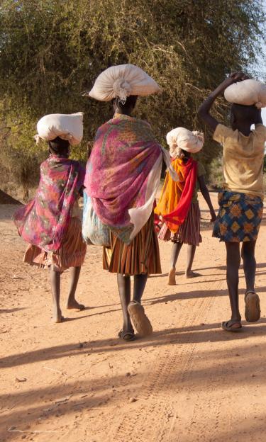 4 Kenyans carrying loads on their heads